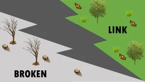 Broken Link Meaning in SEO and Its Impact on Website Rankings